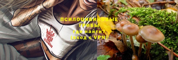 не бодяженный Нефтегорск