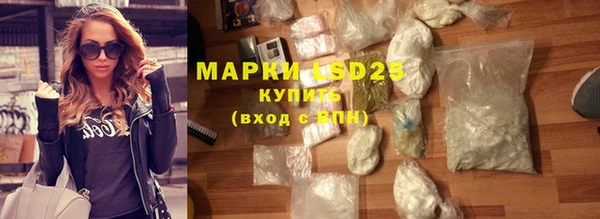 прущие грибы Надым