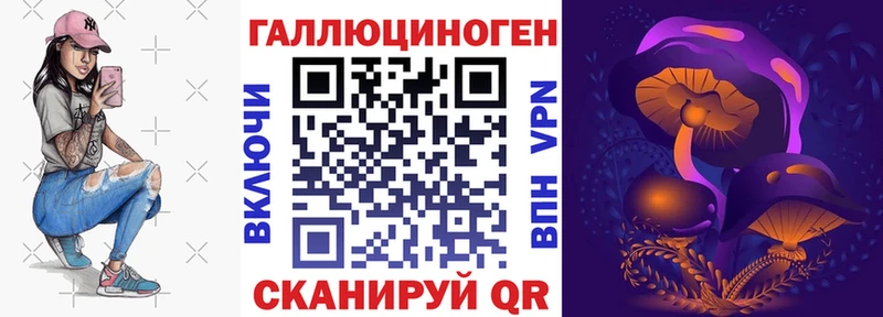 Купить где  Аркадак  Псилоцибиновые грибы Magic Shrooms 